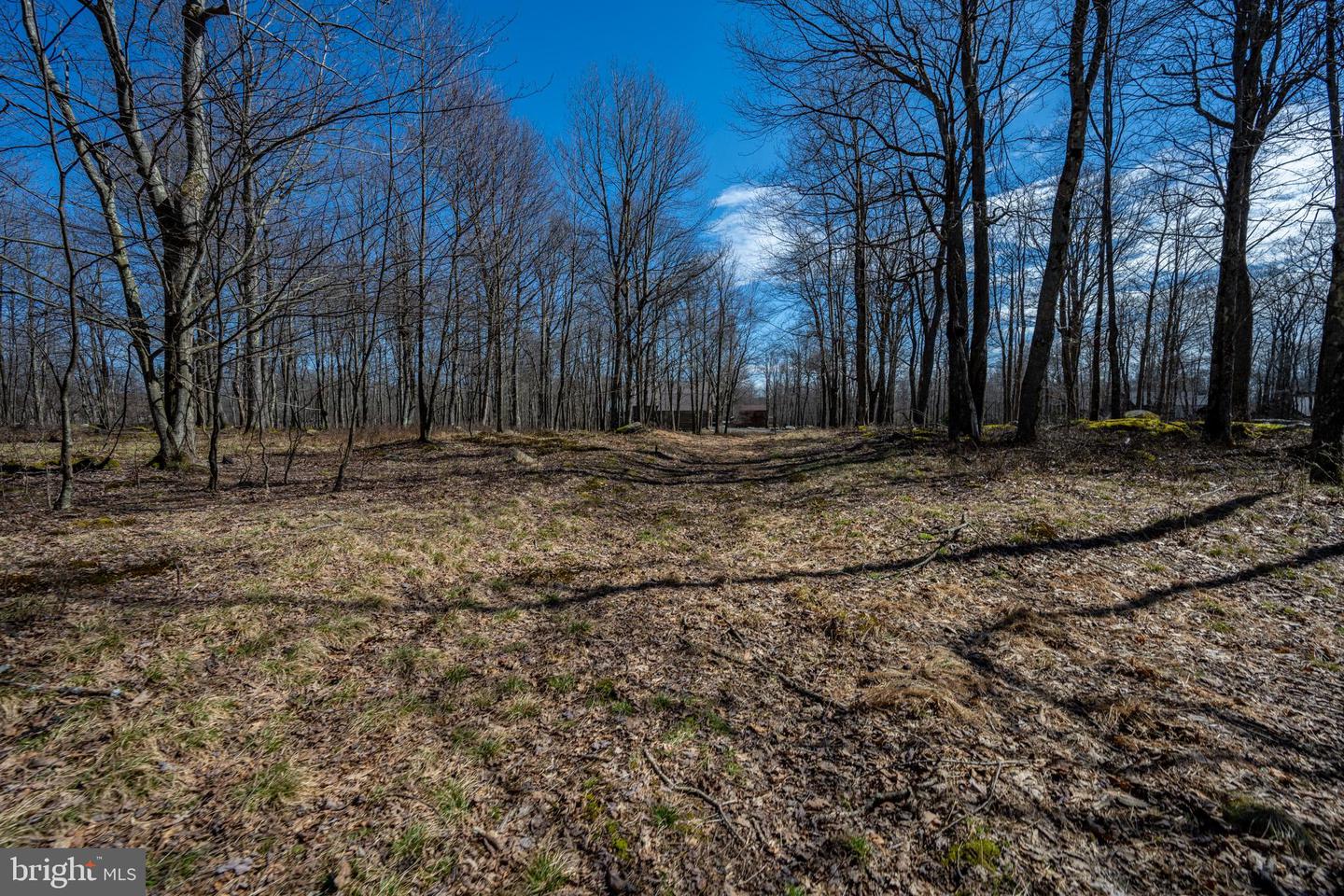 36 Fern Loop Property Photo 13