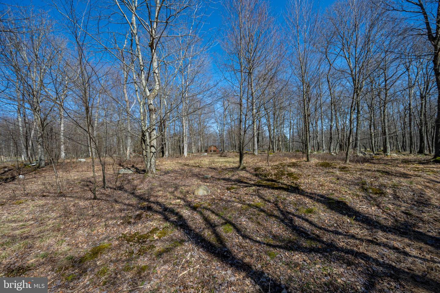 36 Fern Loop Property Photo 14