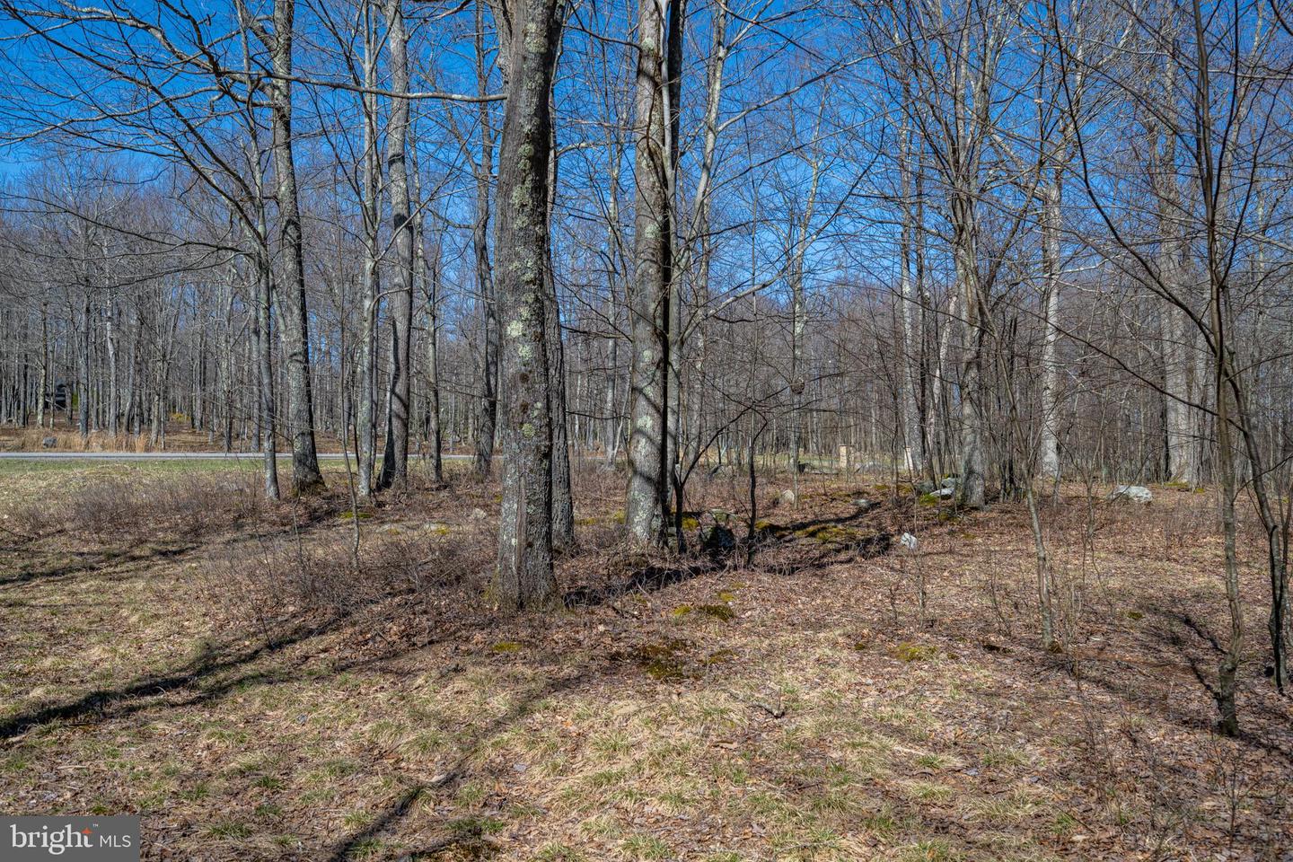36 Fern Loop Property Photo 15