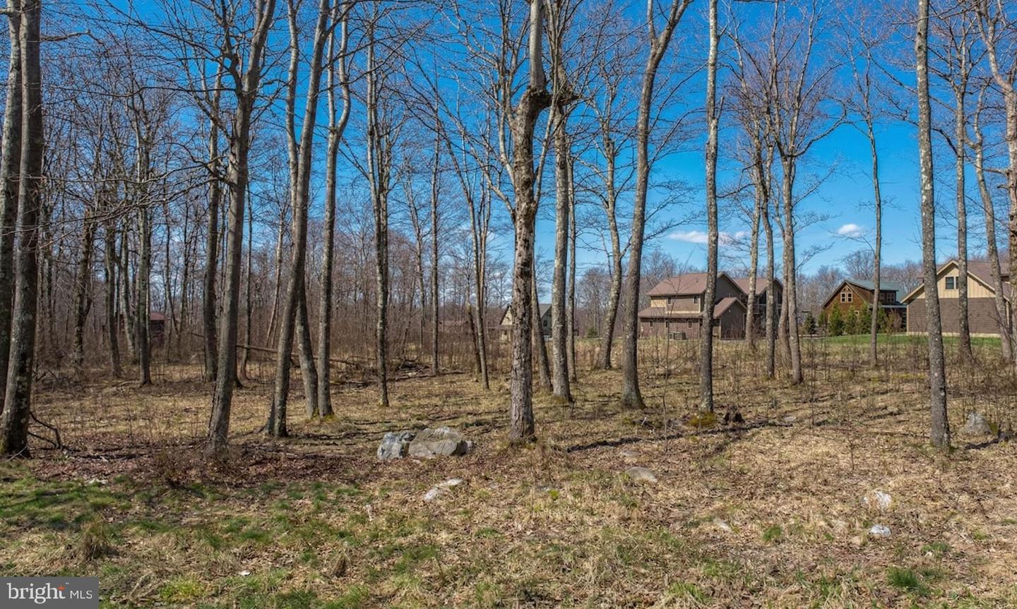 Lot 54 Biltmore Ridge Trl Property Photo 6