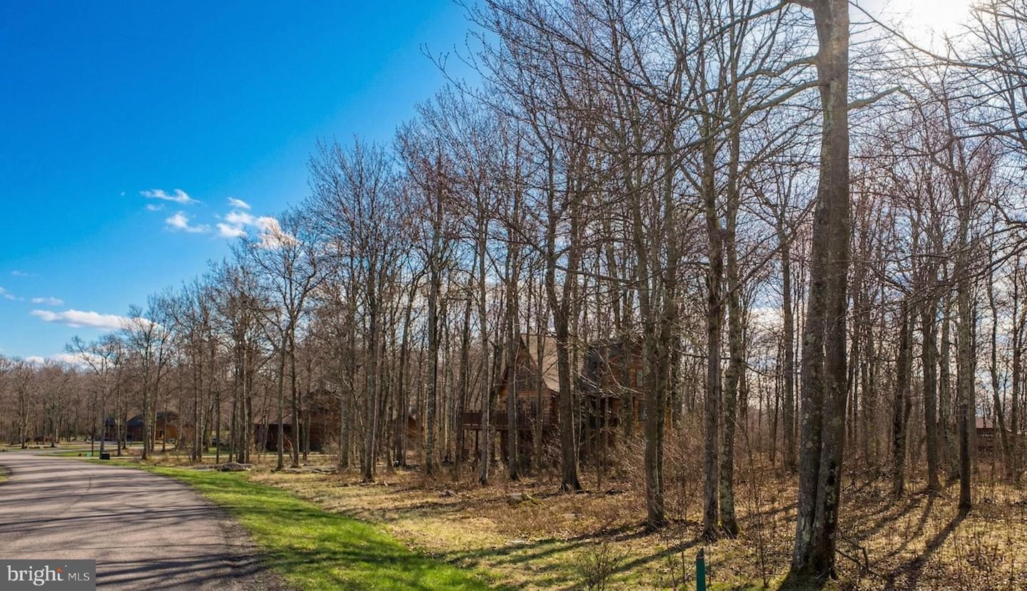 Lot 54 Biltmore Ridge Trl Property Photo 7