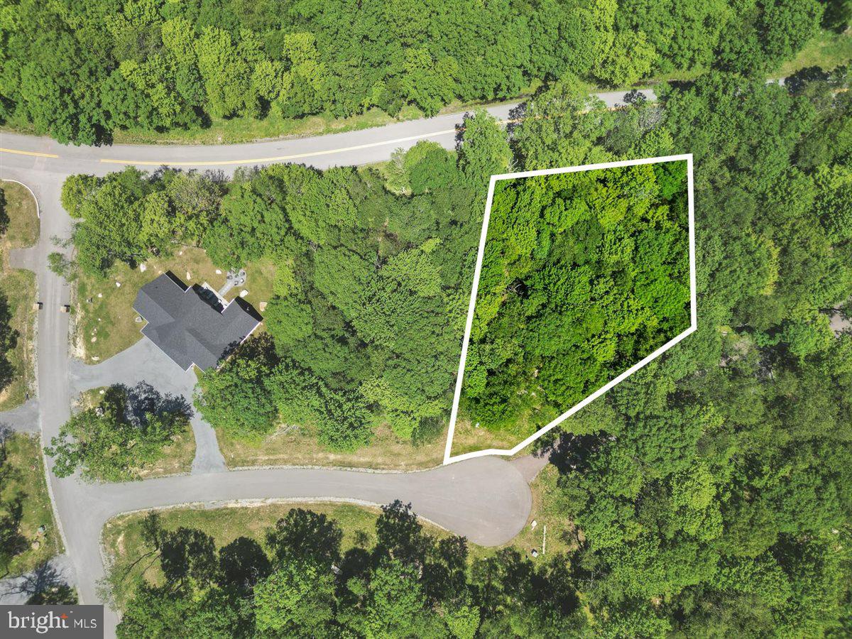 Lot 21 Green Jacket Ct Property Photo 4