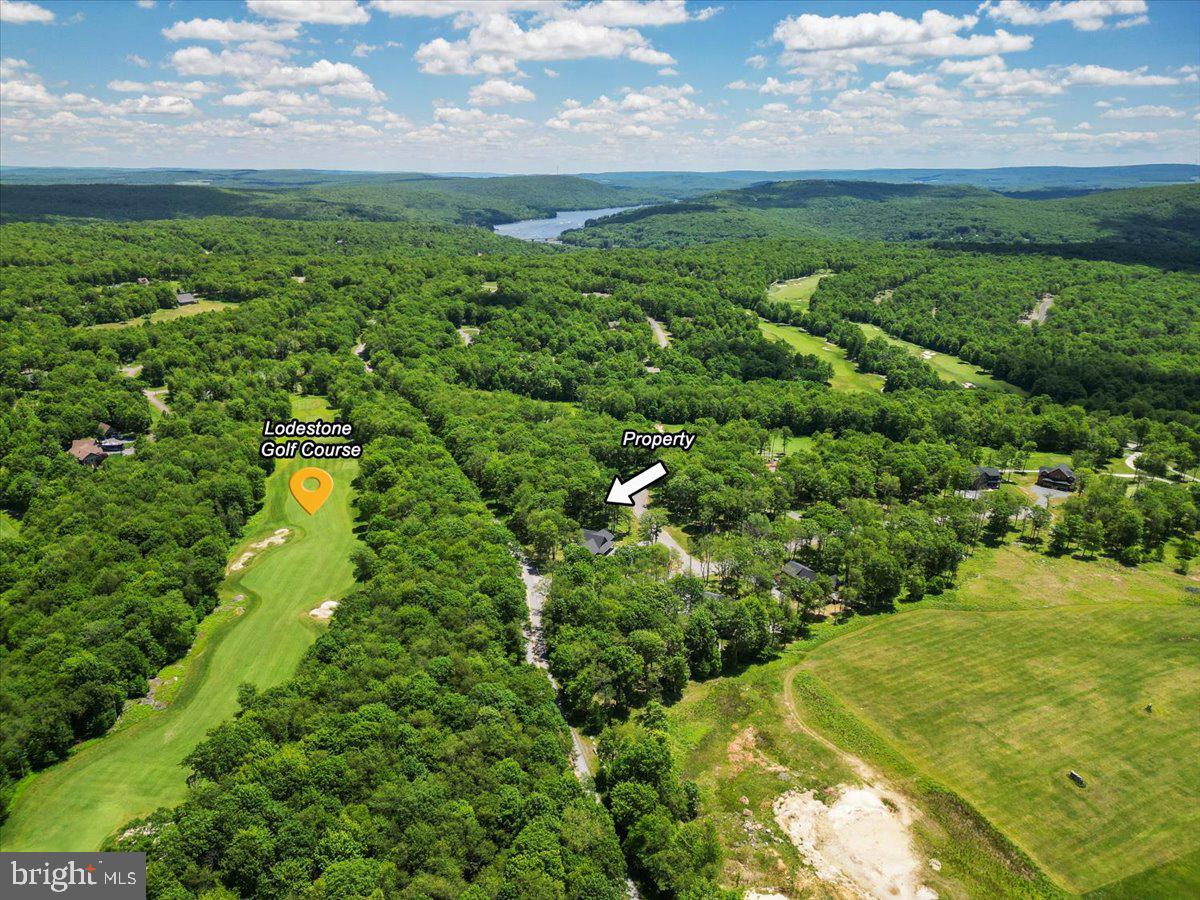 LOT 20 GREEN JACKET CT