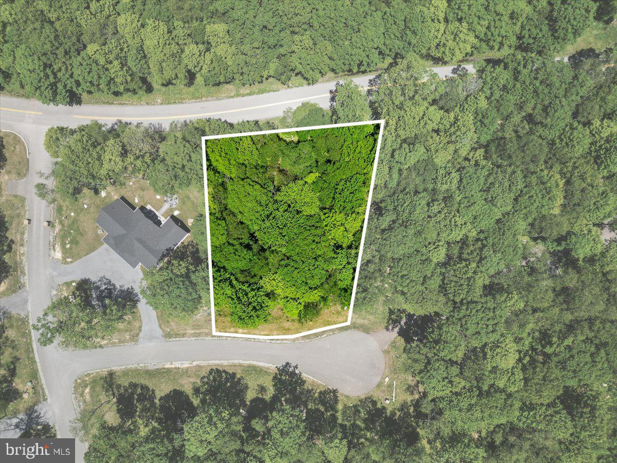 Lot 20 Green Jacket Ct Property Photo 2