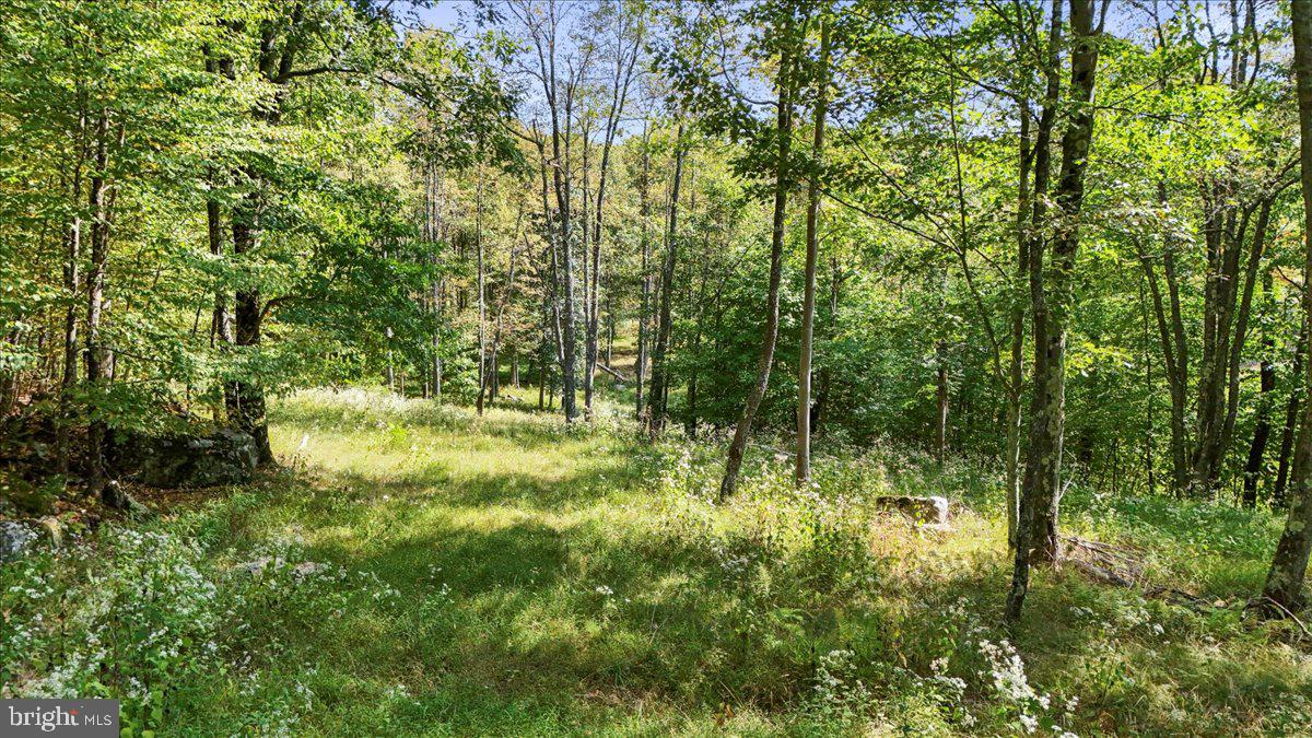 Lot 5 Lodestone Way Property Photo 10