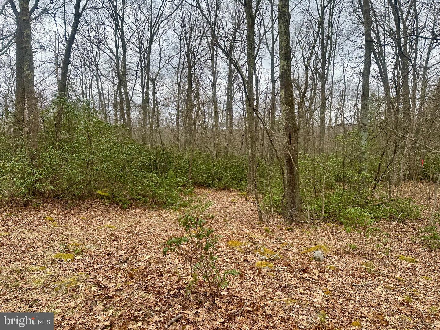 552 Black Oak Dr Property Photo 32