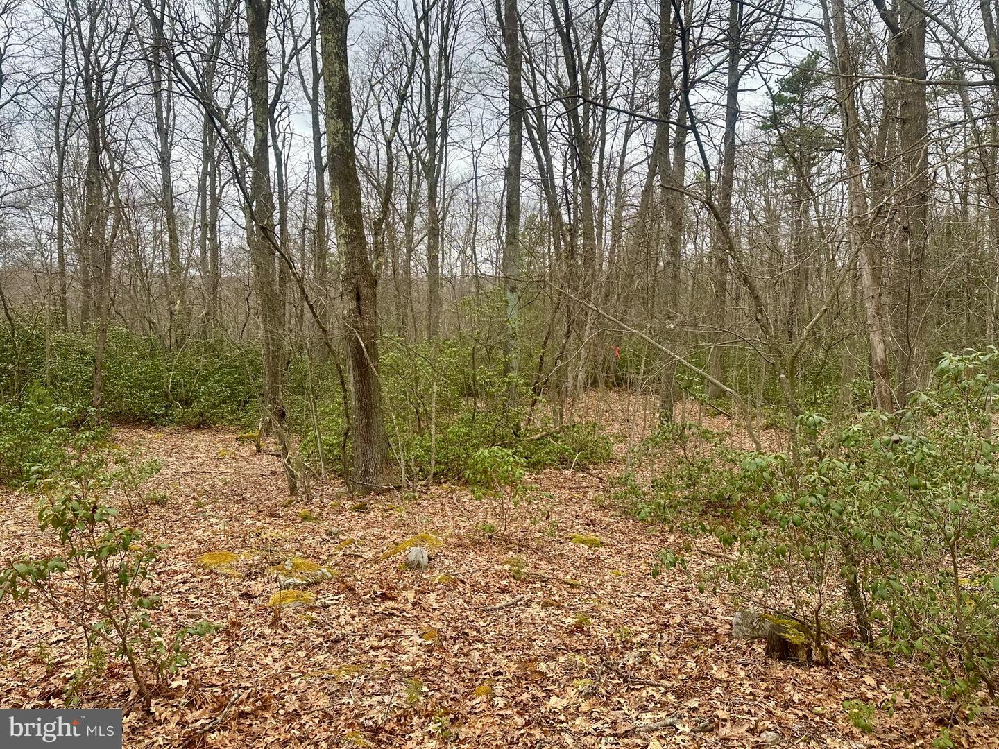 552 Black Oak Dr Property Photo 33