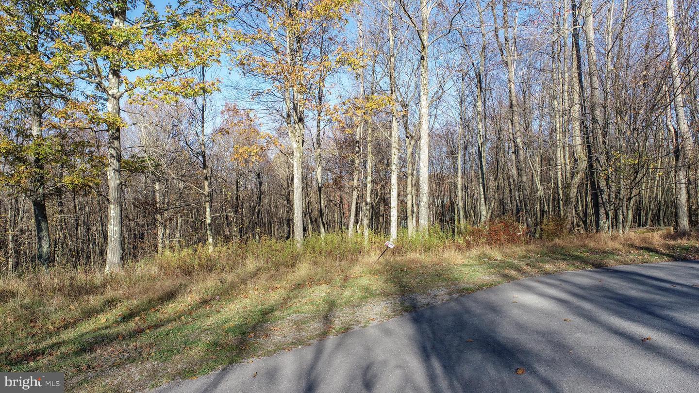 132 &132a Tarn Dr Property Photo 11