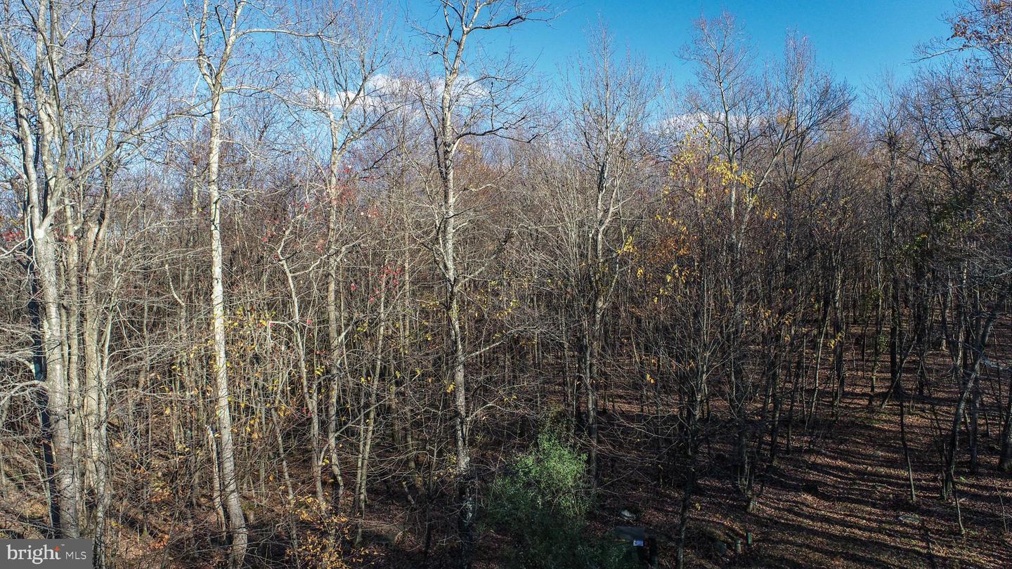 132 &132a Tarn Dr Property Photo 23