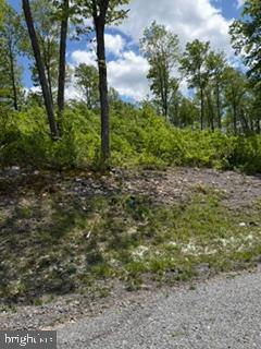 North Camp Rd #lot 69 Property Photo 3