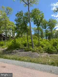North Camp Rd #lot 69 Property Photo 5