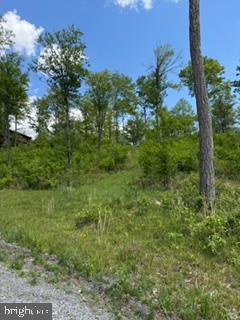 North Camp Rd #lot 69 Property Photo 11