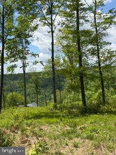 North Camp Rd #lot 69 Property Photo 14