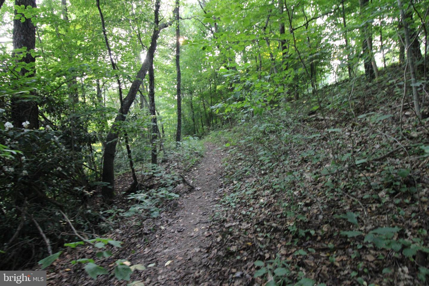 8956 Oakland Sang Run Rd Property Photo 58