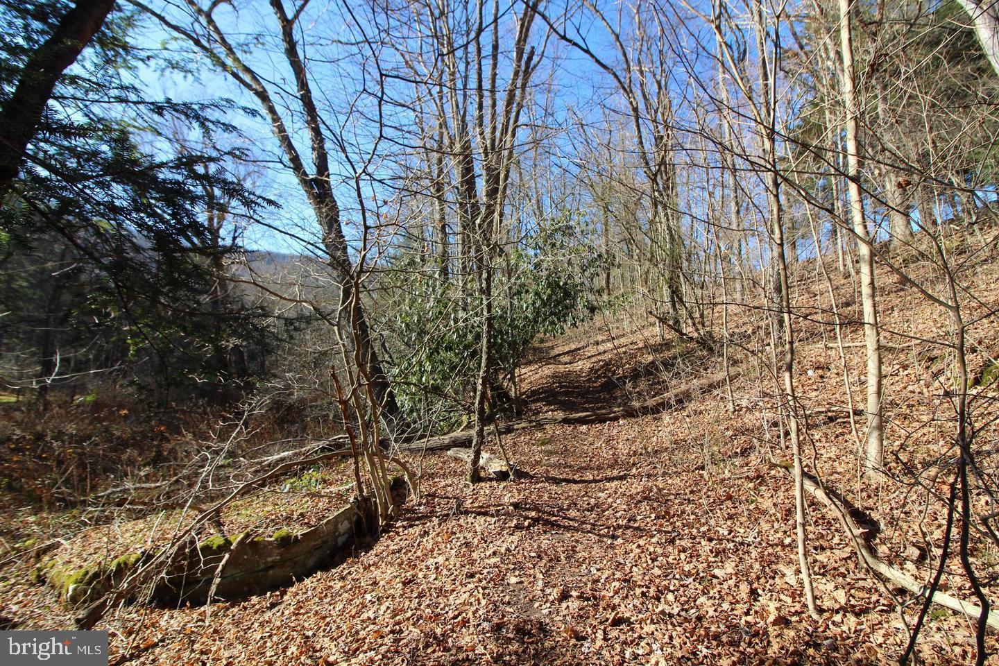 8956 Oakland Sang Run Rd Property Photo 60