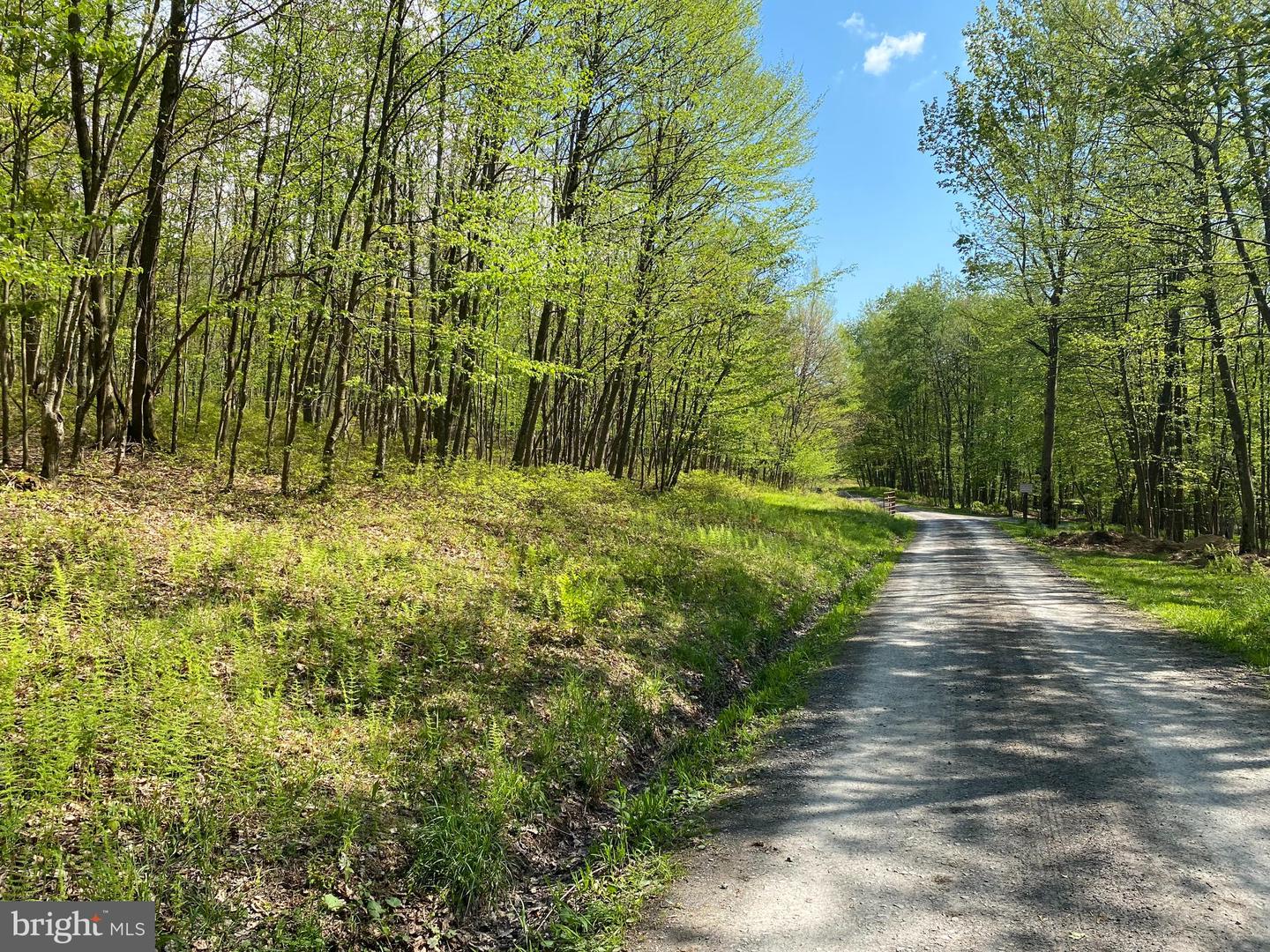 Lot 6b Betts Ln Property Photo 1