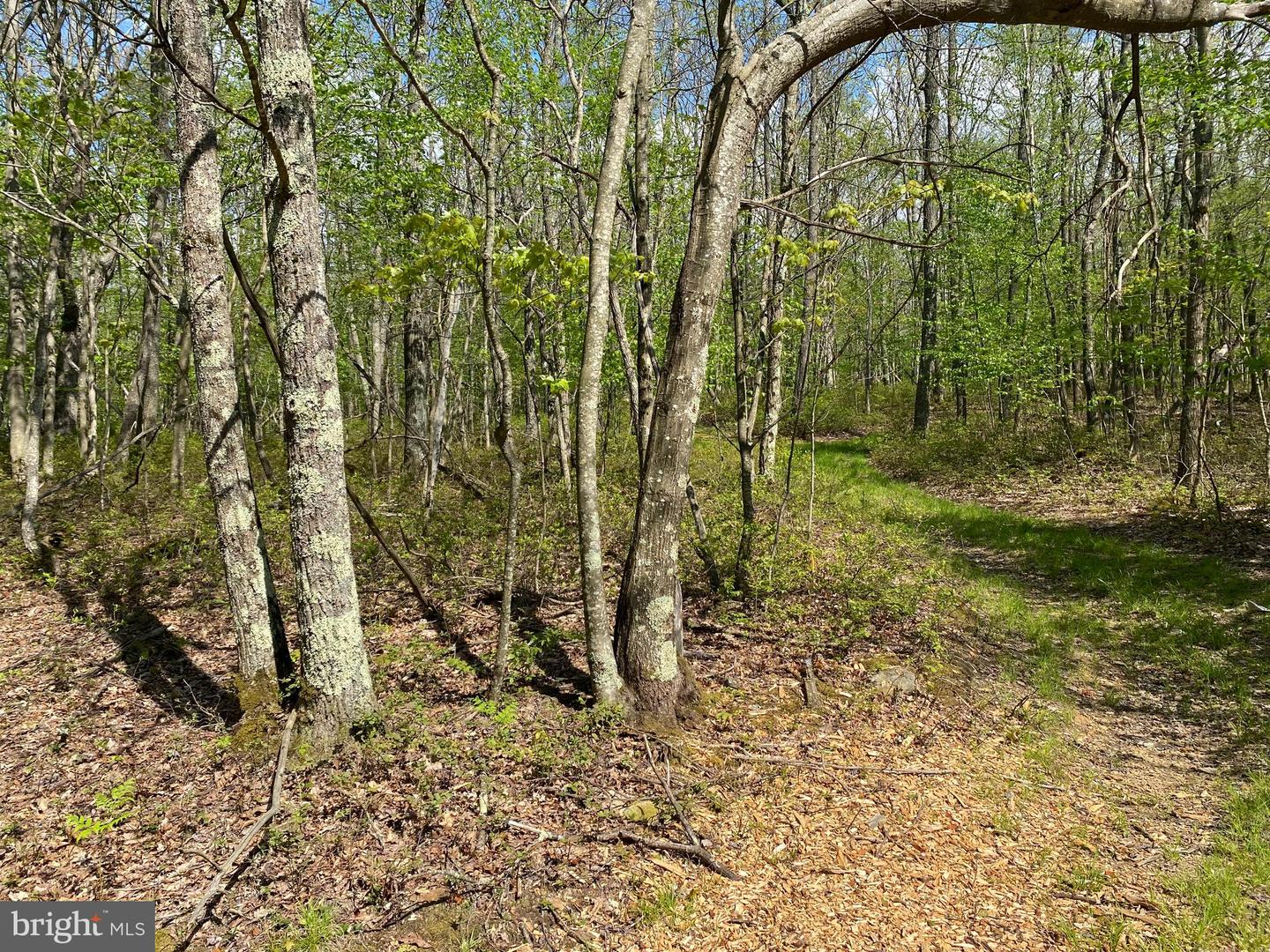 Lot 6b Betts Ln Property Photo 3