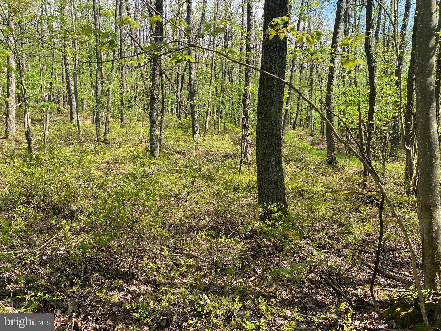 Lot 6b Betts Ln Property Photo 6