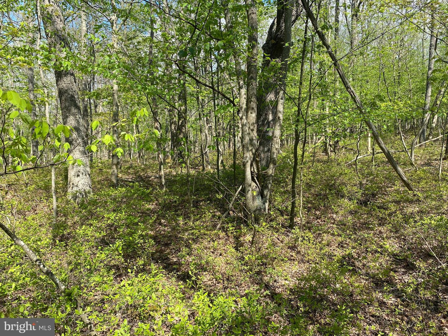 Lot 6b Betts Ln Property Photo 7
