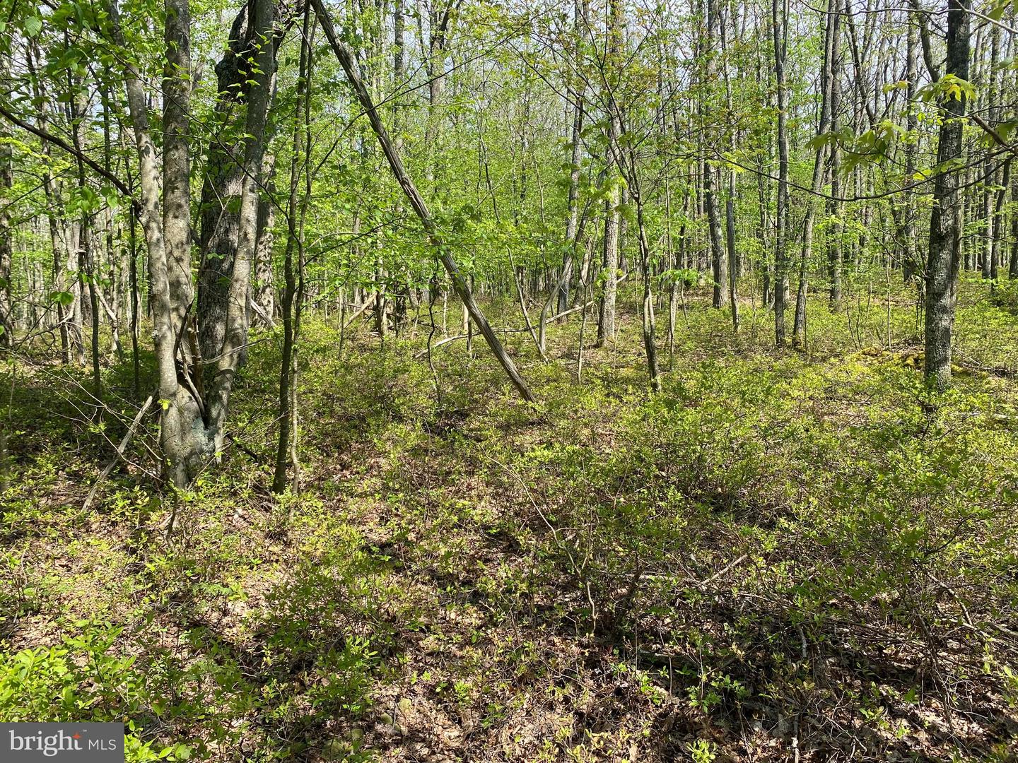 Lot 6b Betts Ln Property Photo 8