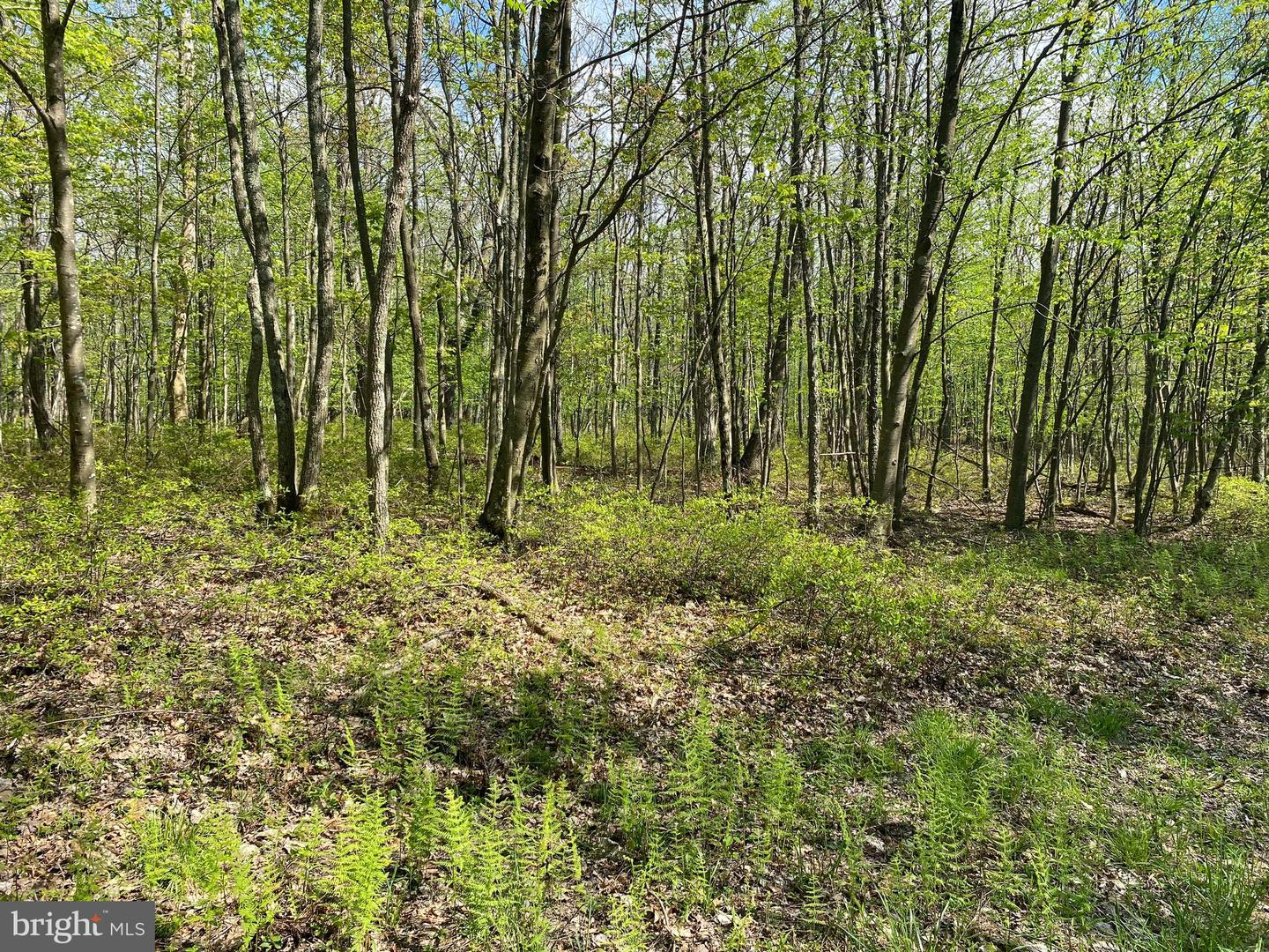 Lot 6b Betts Ln Property Photo 9