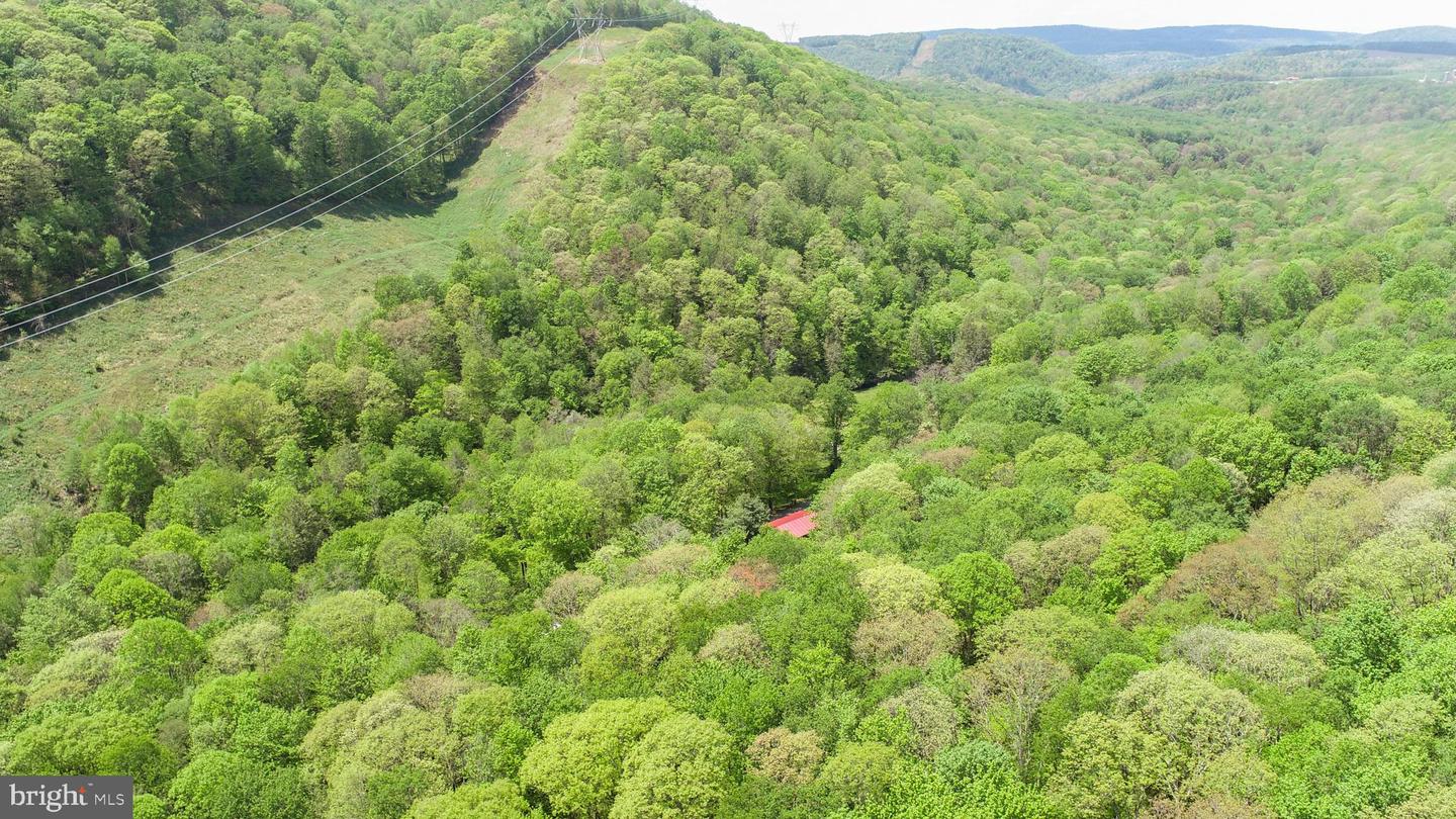 259 Resh Ln Property Photo 87