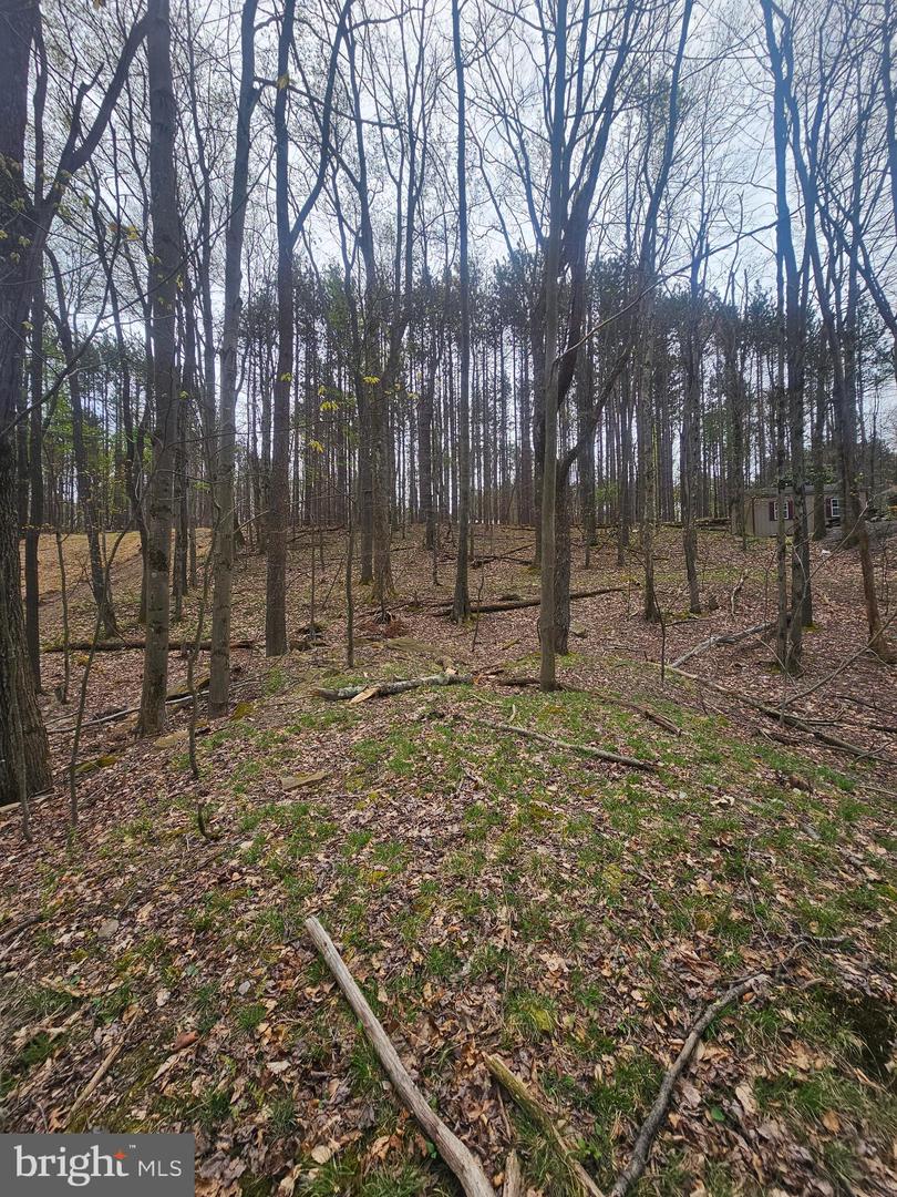 Lot 233 Cumberland Property Photo 1