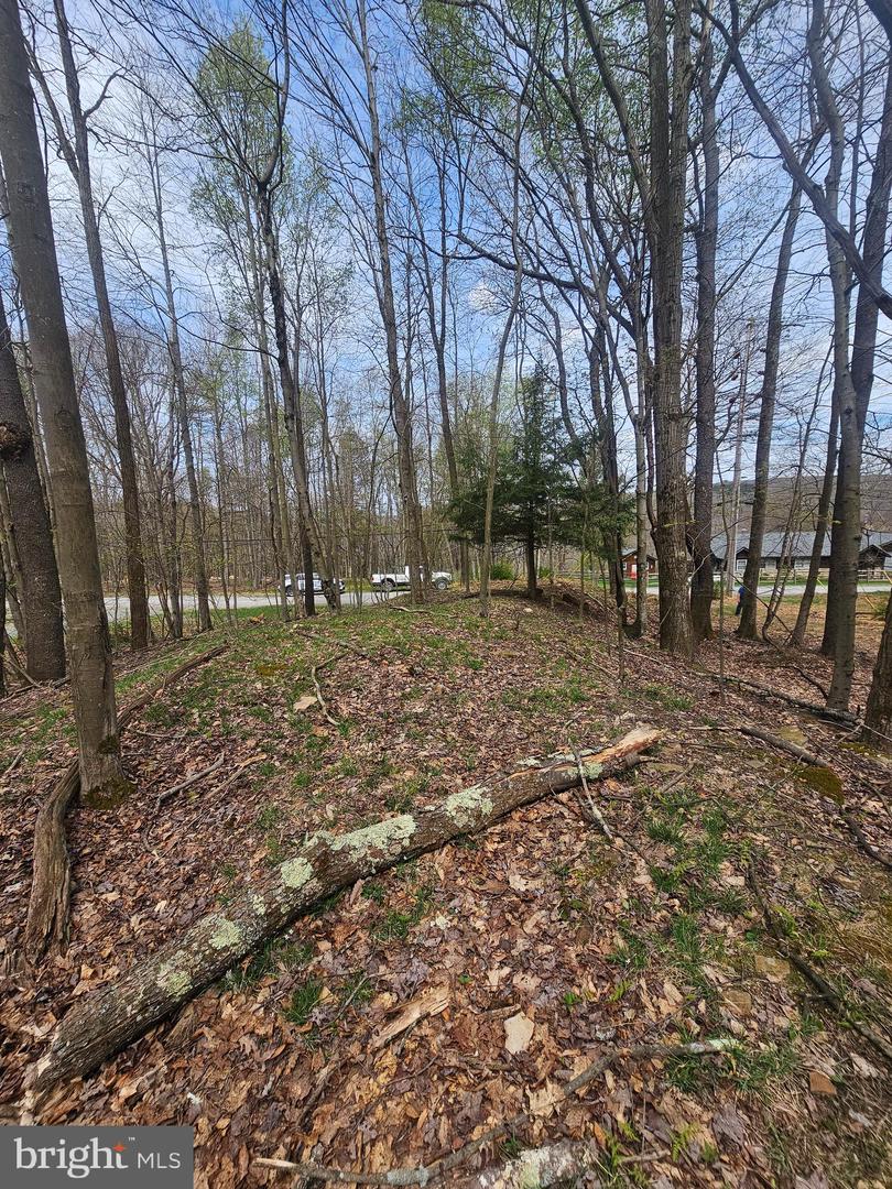 Lot 233 Cumberland Property Photo 3