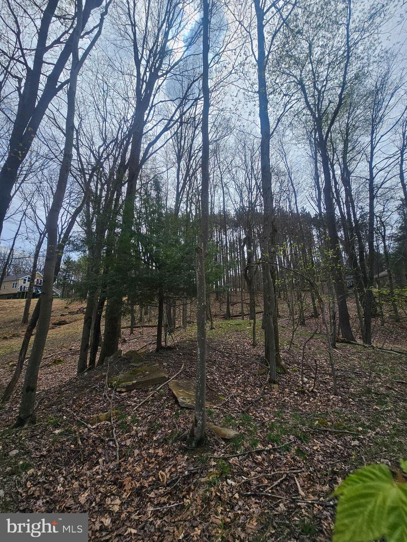 Lot 233 Cumberland Property Photo 4