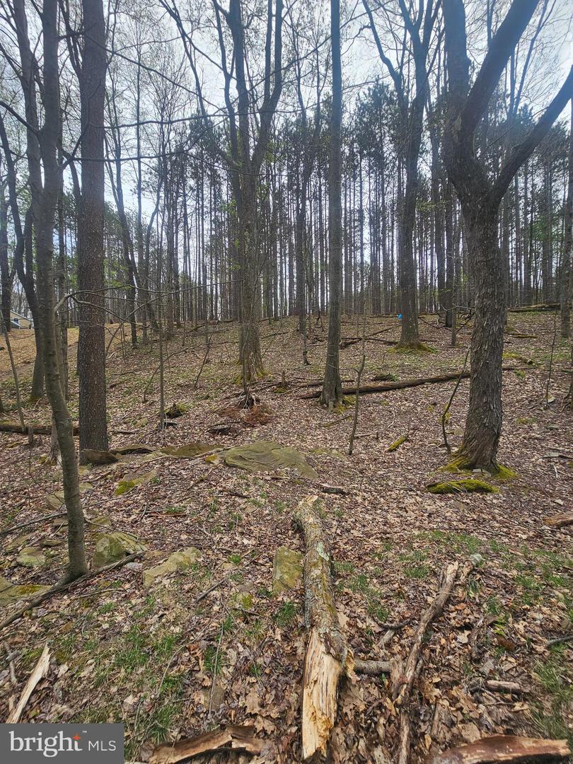 Lot 233 Cumberland Property Photo 5