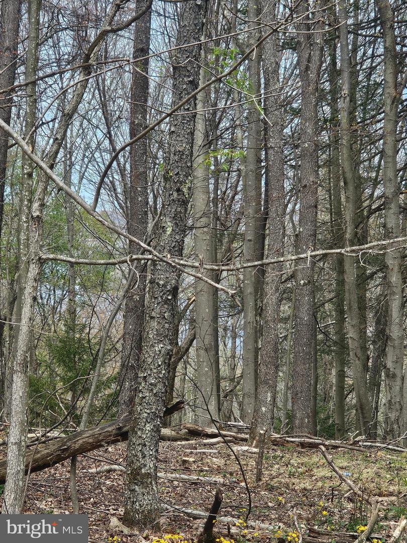 Lot 233 Cumberland Property Photo 6