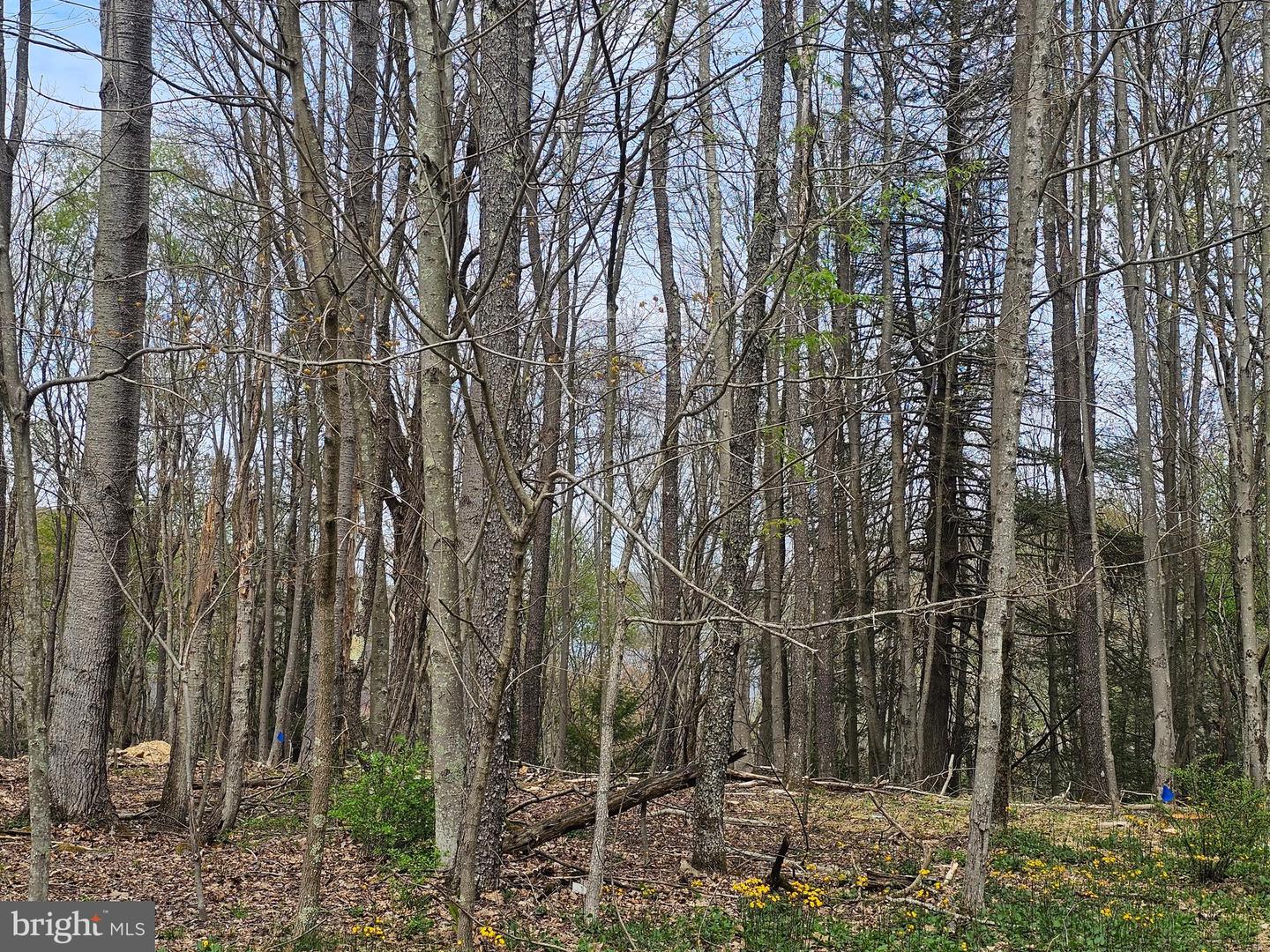 Lot 233 Cumberland Property Photo 7