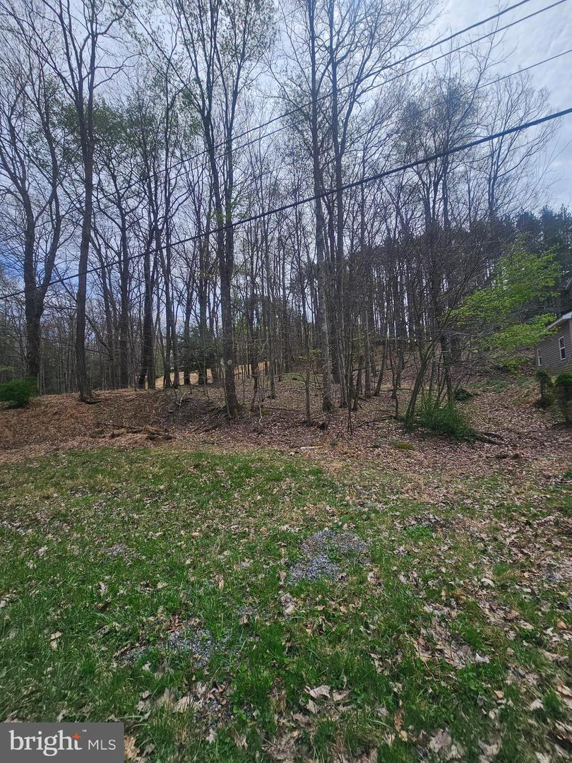 Lot 233 Cumberland Property Photo 8