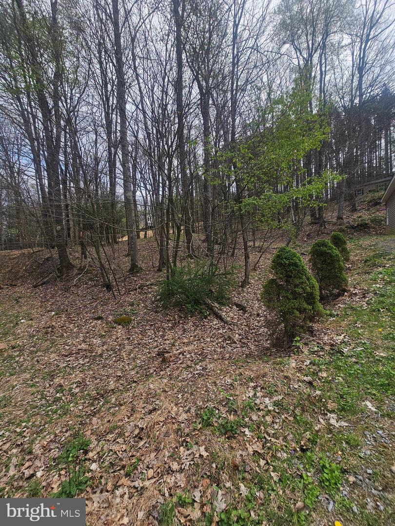 Lot 233 Cumberland Property Photo 9