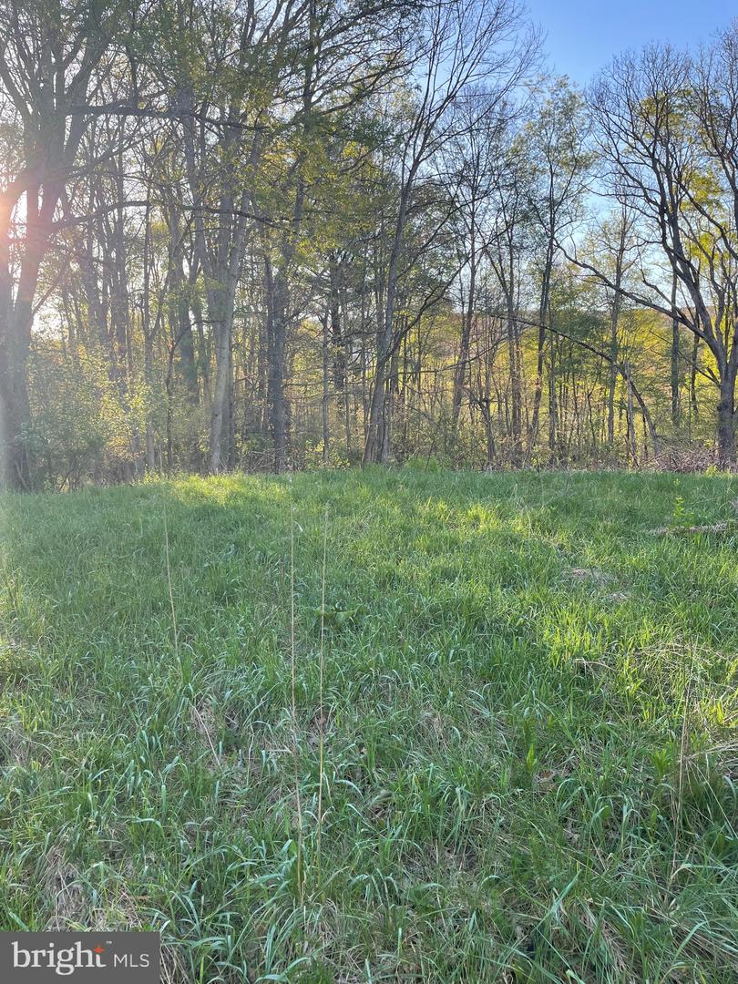 3482 Oakland Sang Run Rd Property Photo 1