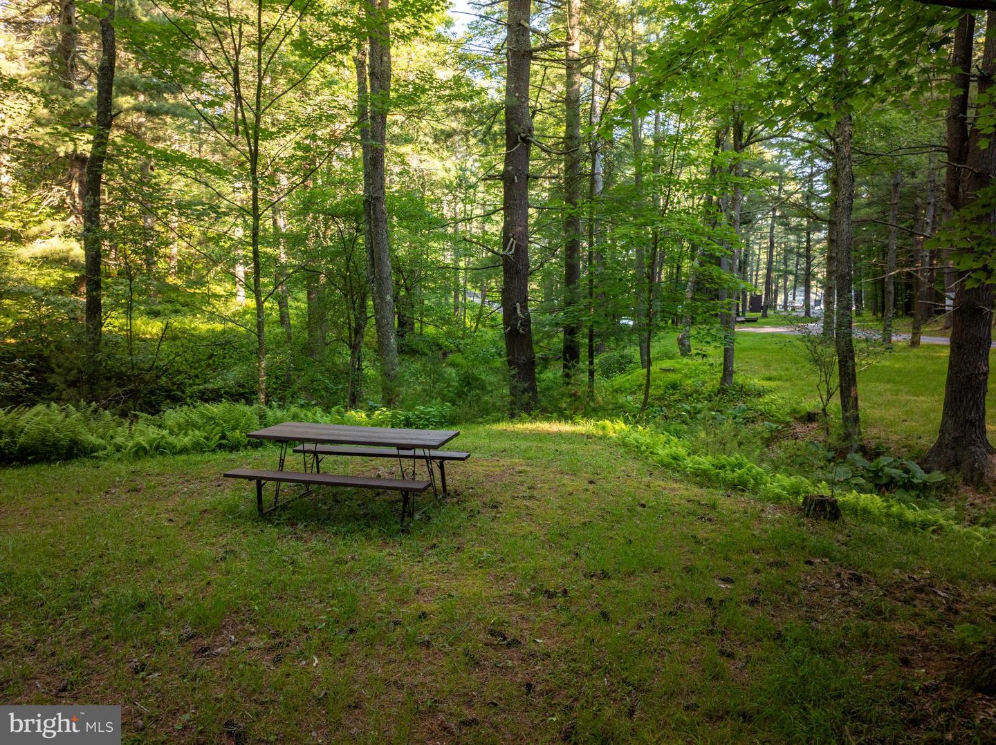 392 Deer Run Ln Property Photo 68