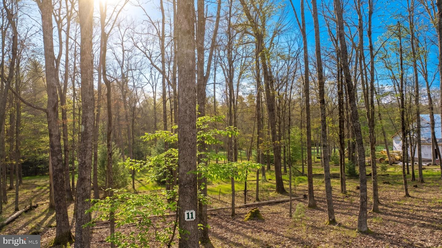 Lot 11 Poland Heights Ln Property Photo 7