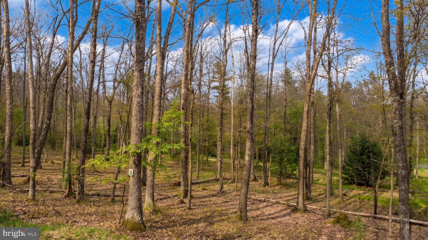 Lot 11 Poland Heights Ln Property Photo 8