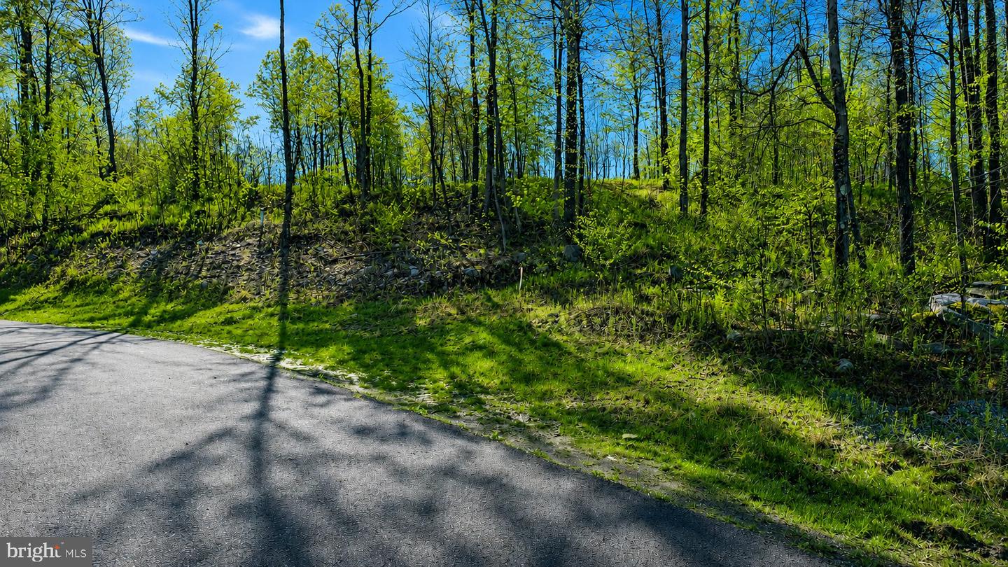 21 Rocky Gap Trl Property Photo 10
