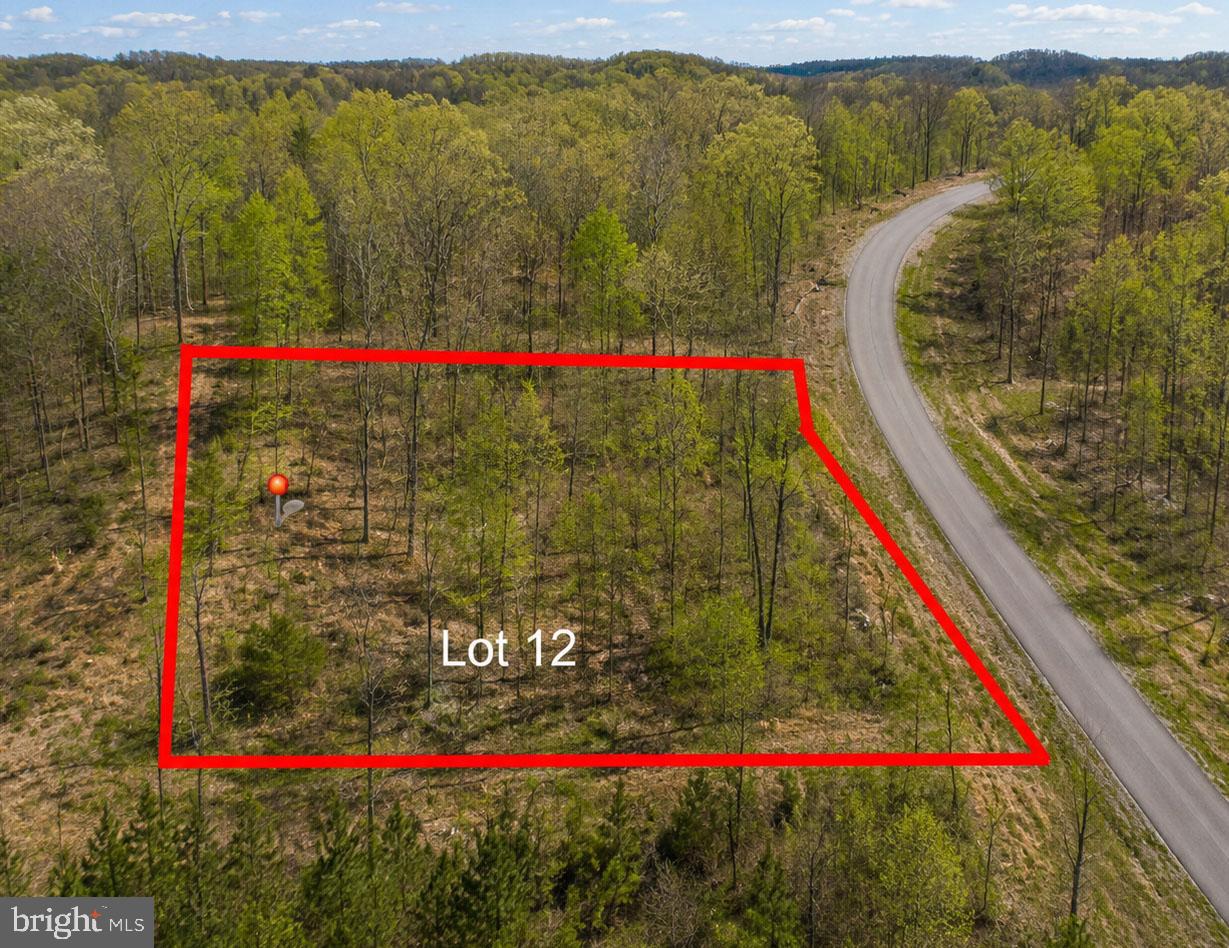 12 Fox Run Dr Property Photo 4
