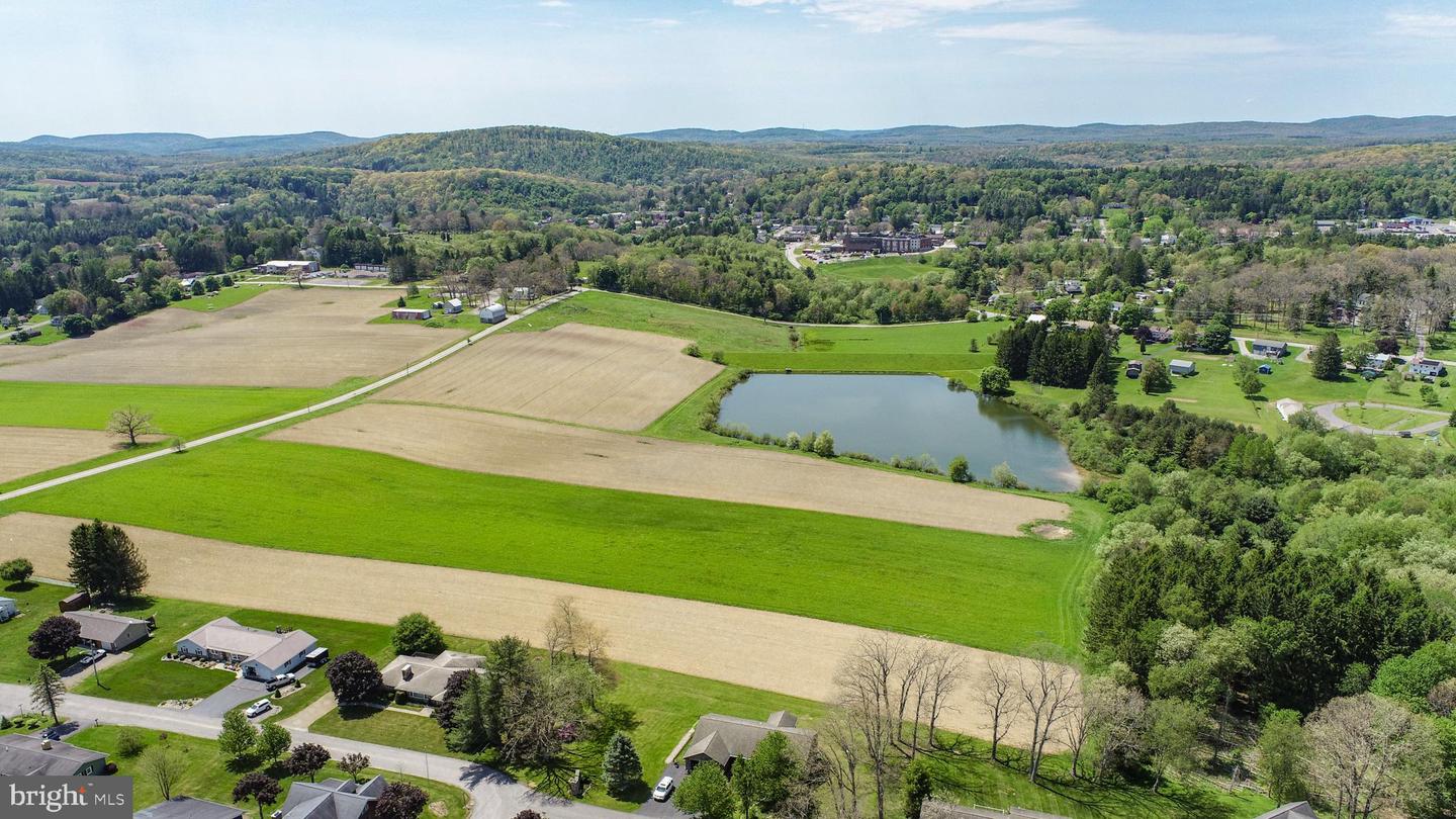 9.75 Ac. Dennett Road Property Photo 3