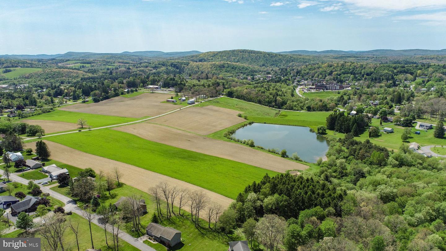 9.75 Ac. Dennett Road Property Photo 4