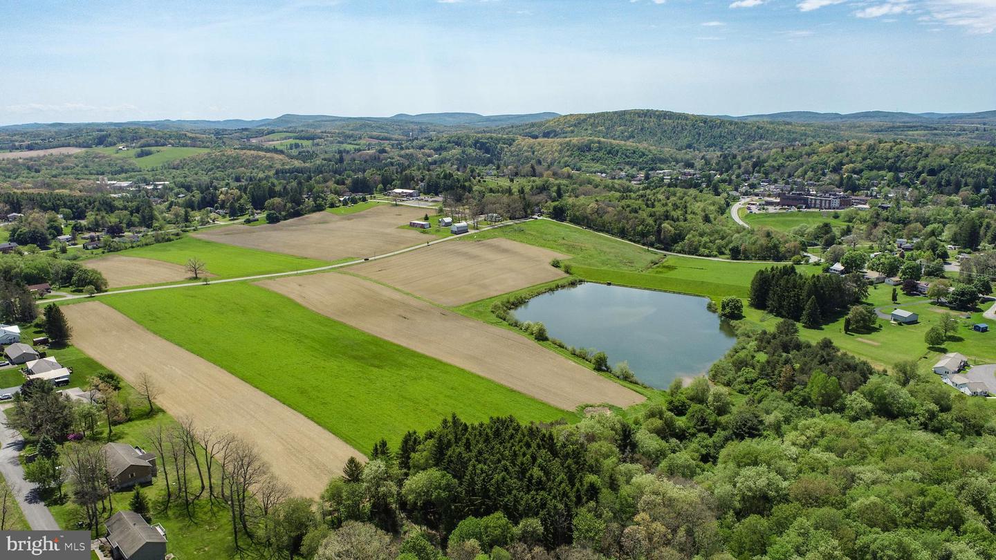 9.75 Ac. Dennett Road Property Photo 5
