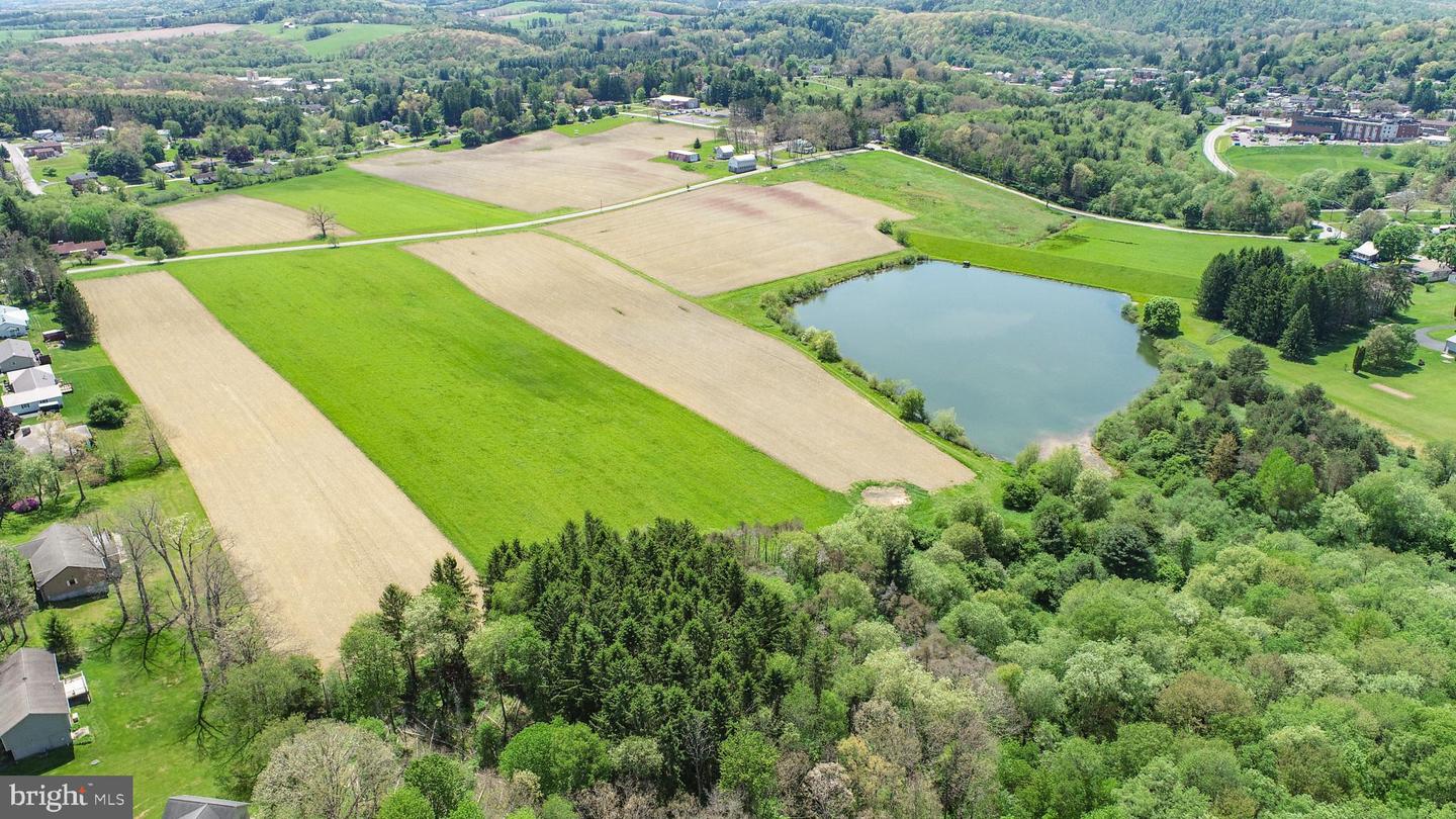 9.75 Ac. Dennett Road Property Photo 6