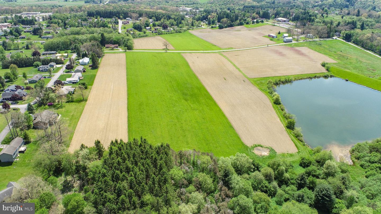 9.75 Ac. Dennett Road Property Photo 7