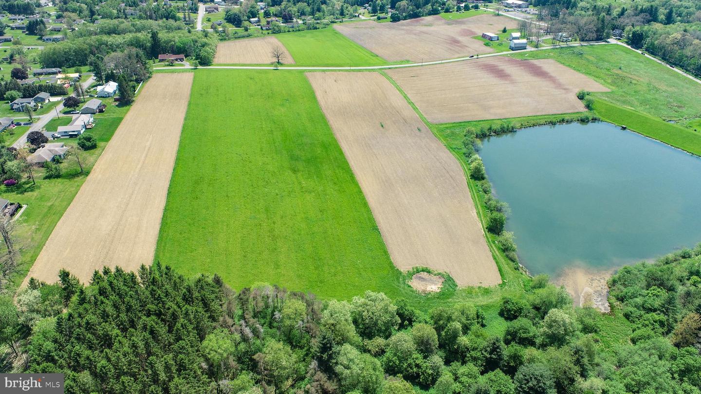 9.75 Ac. Dennett Road Property Photo 8