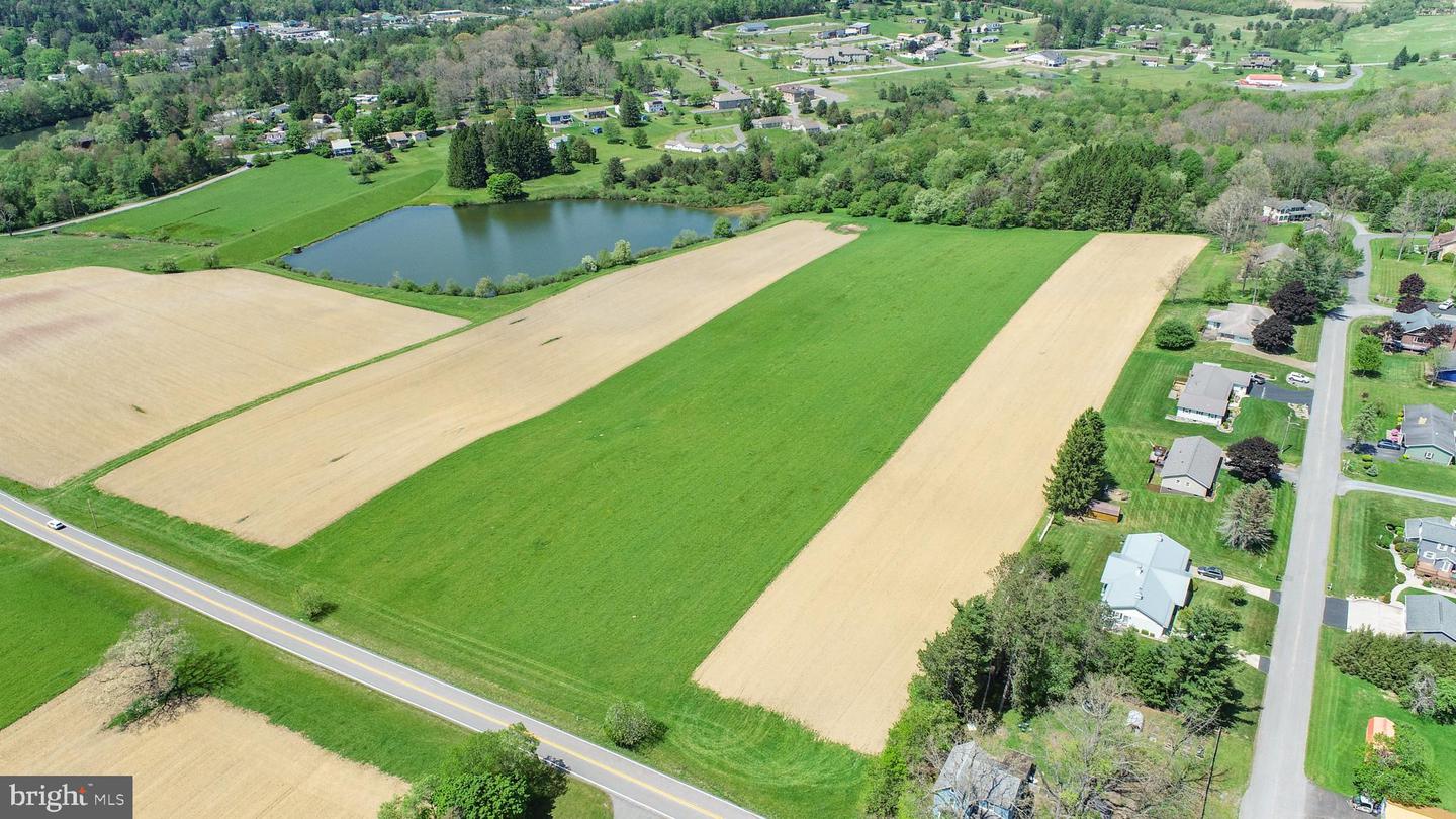 9.75 Ac. Dennett Road Property Photo 14