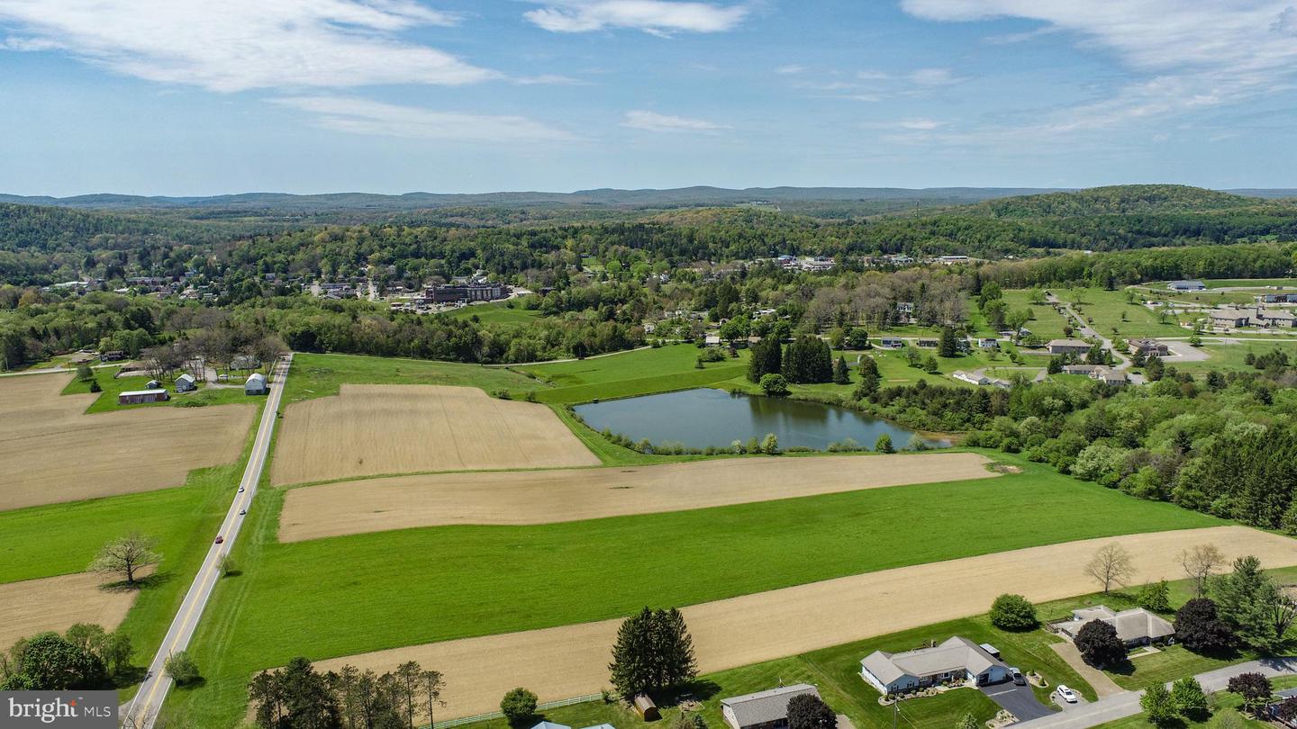 9.75 Ac. Dennett Road Property Photo 19