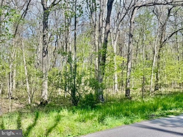 Turkey Neck Rd #lot 12 Property Photo 4
