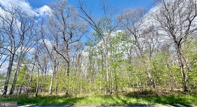 Turkey Neck Rd #lot 12 Property Photo 5